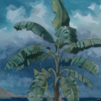palmbeach