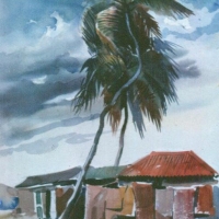 palmskies
